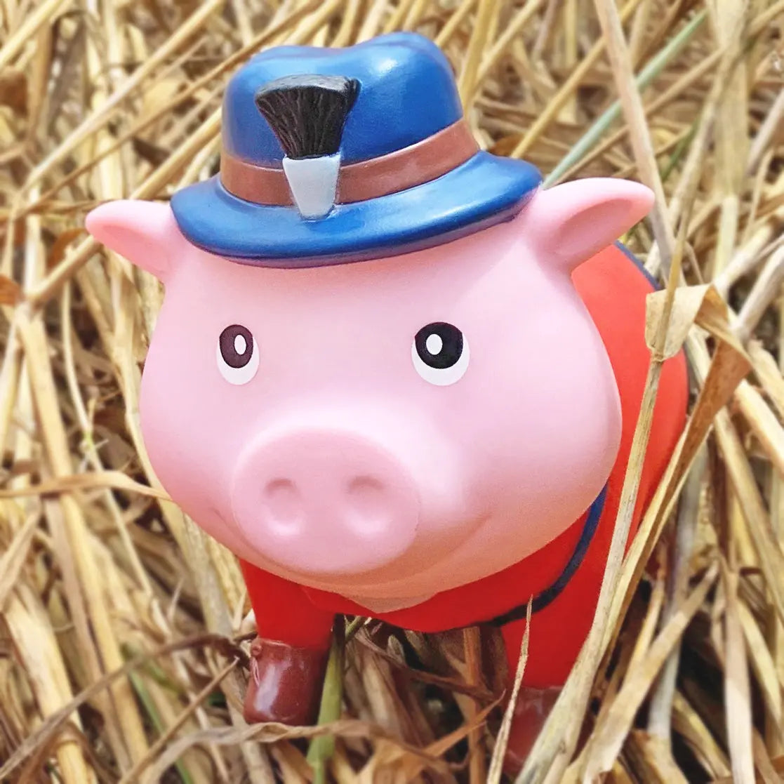 cochon bavarois lilalu 