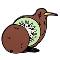 pin s kiwi 1