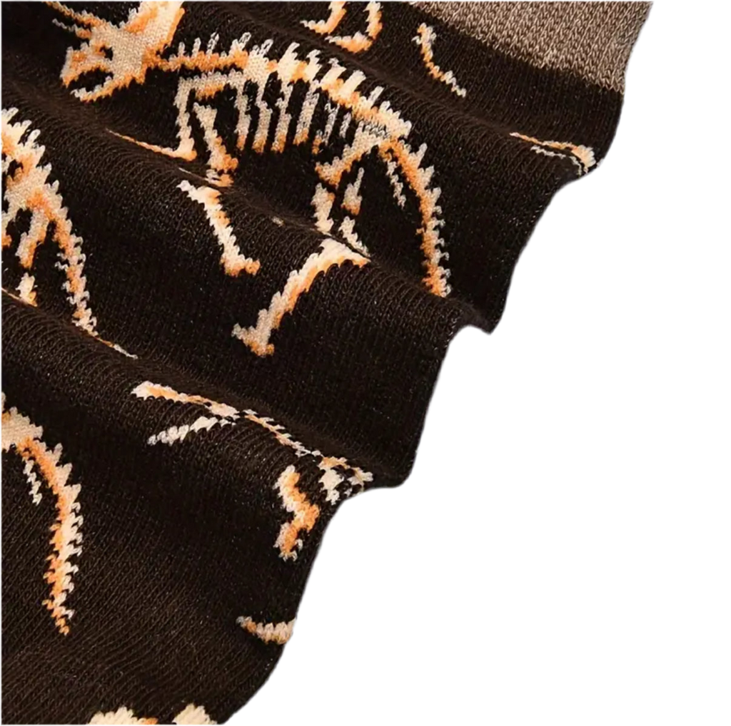chaussettes fossiles de dinosaures mrcol 