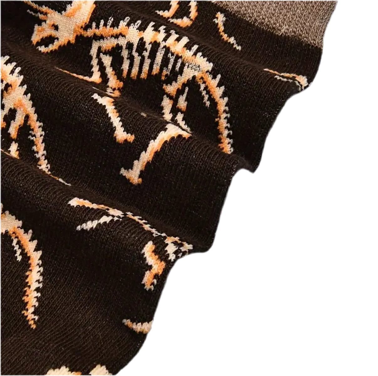chaussettes fossiles de dinosaures mrcol 