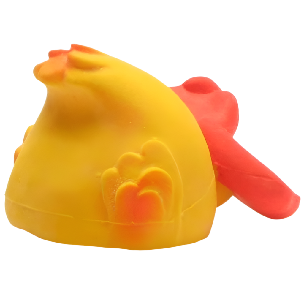Canard en plongée