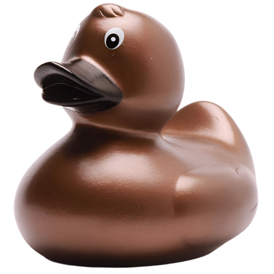 canard classique bronze