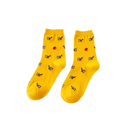 Chaussettes Raton Laveur
