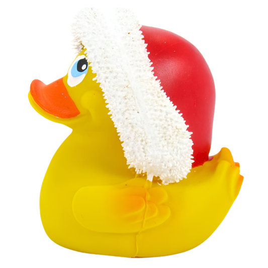 Canard Bonnet de Noël