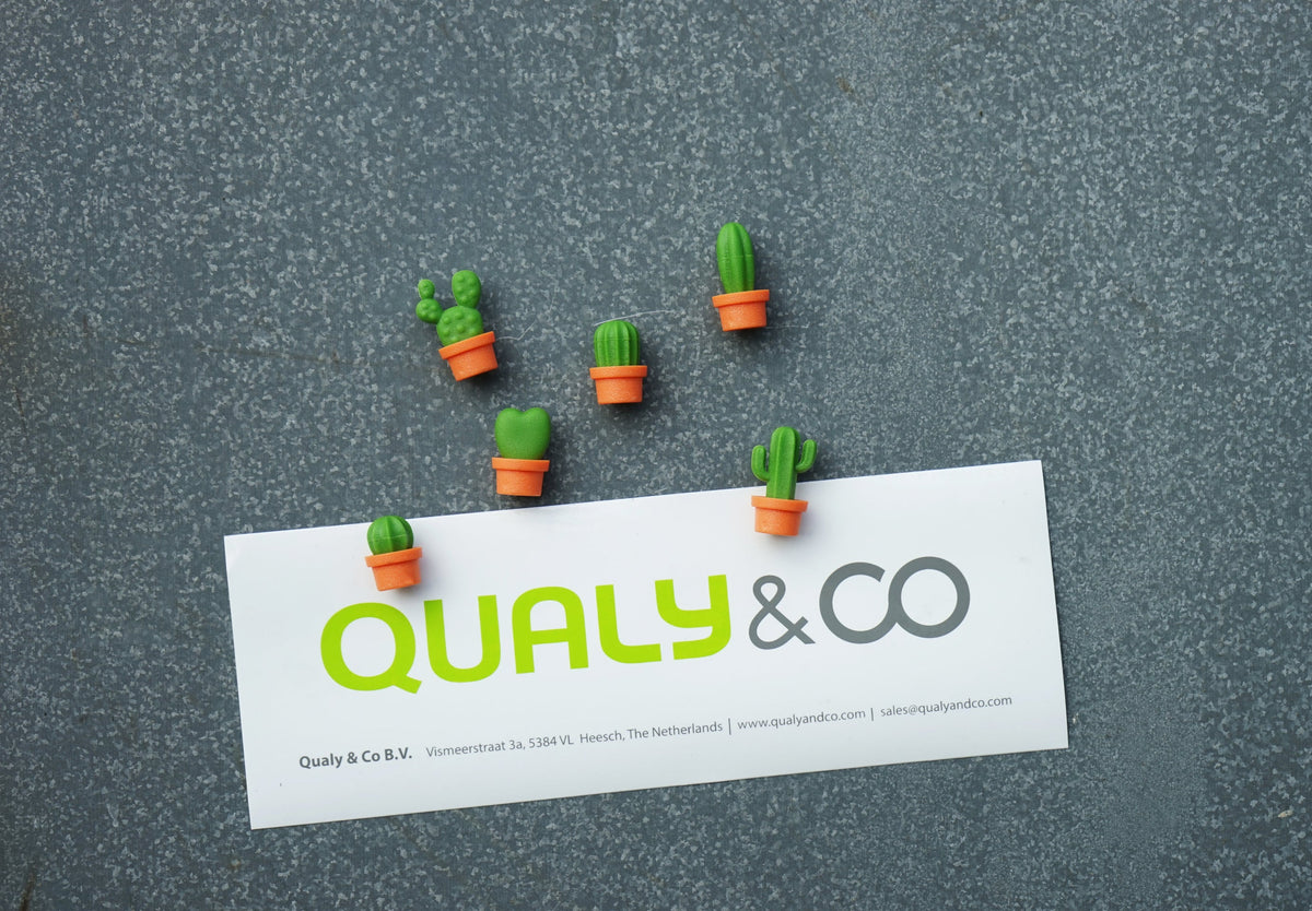 Magnets Cactus Qualy – vue produit 12