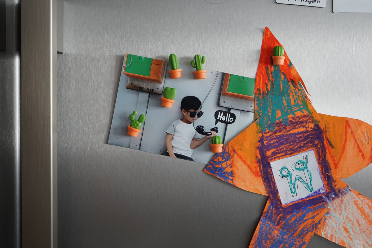 Magnets Cactus Qualy – vue produit 4
