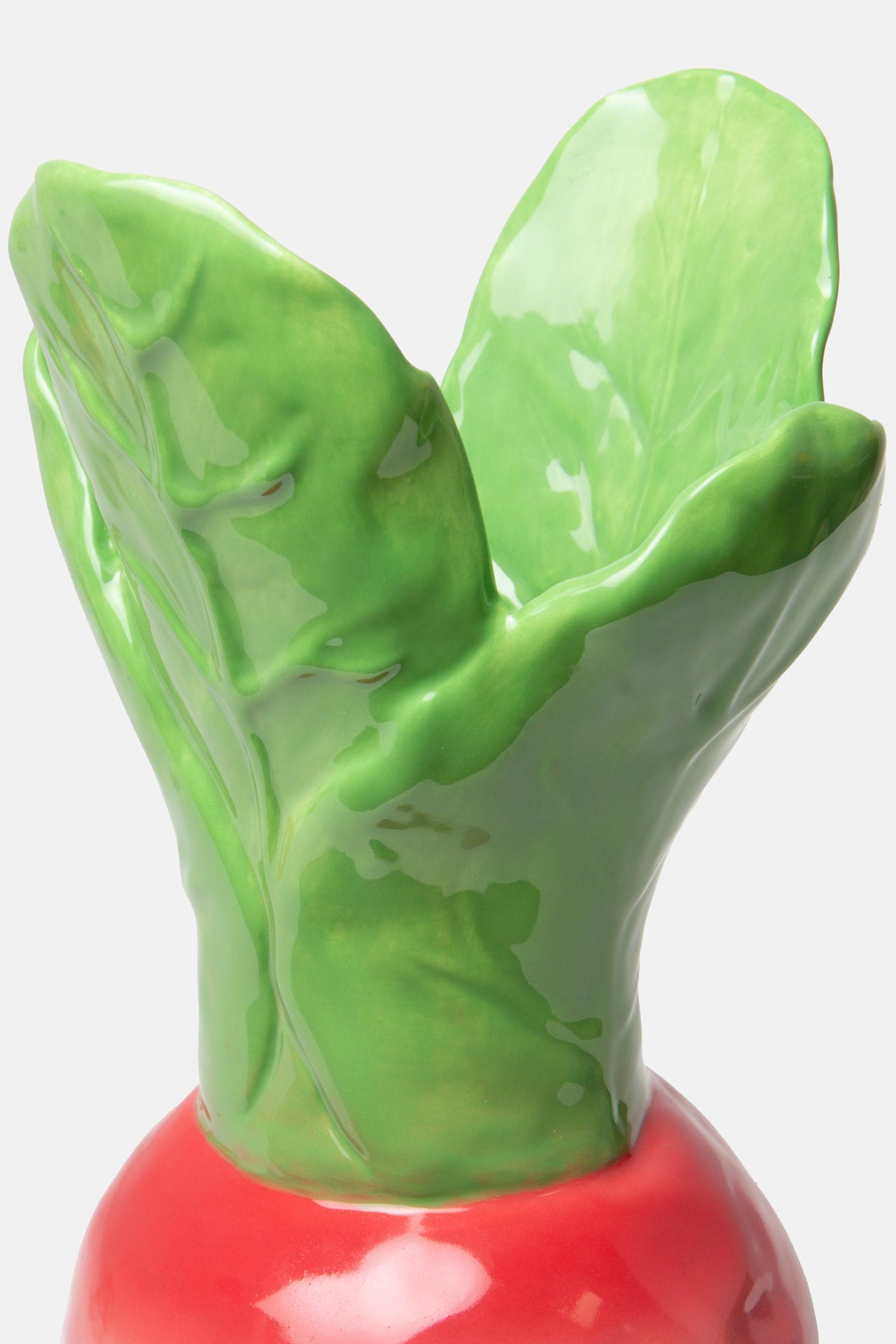 Vase Radis