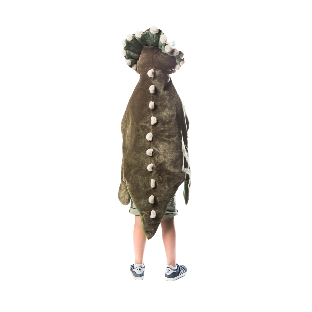 Déguisement Enfant Dinosaure - Wild & Soft