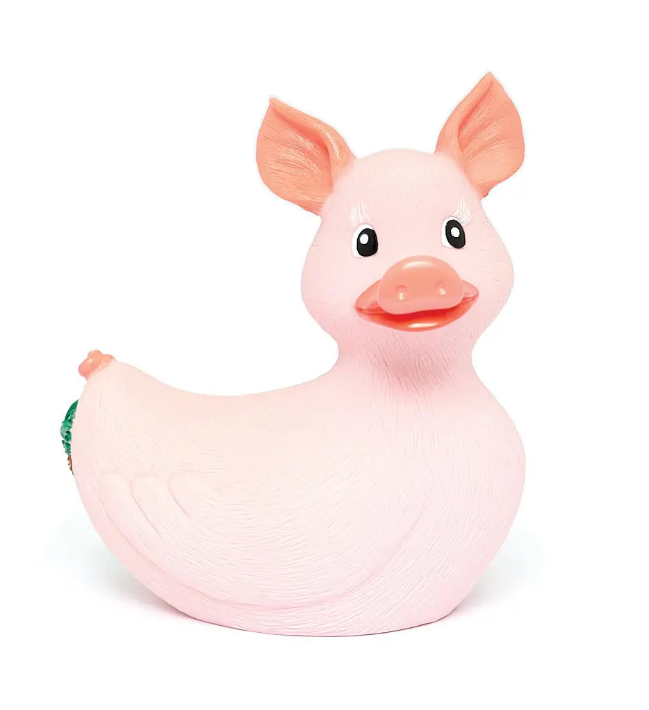 Canard Cochon Rubba Ducks CoinCaillerie