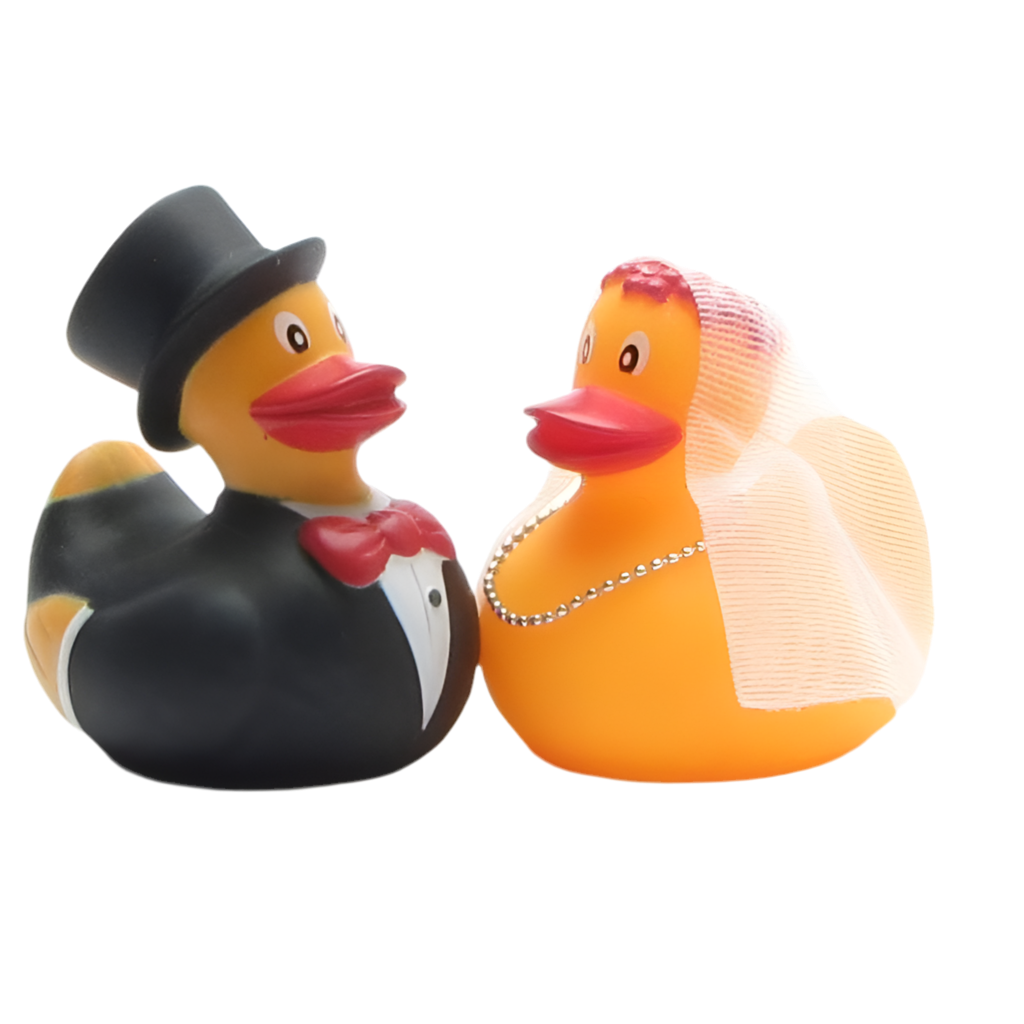 Couple de Canards Mariés Duckshop CoinCaillerie