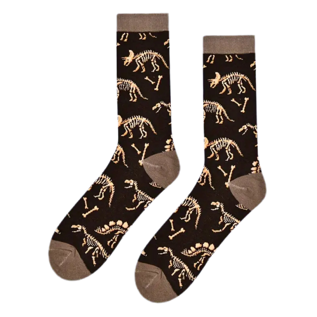chaussettes fossiles de dinosaures mrcol SOX DINO 002 62123596