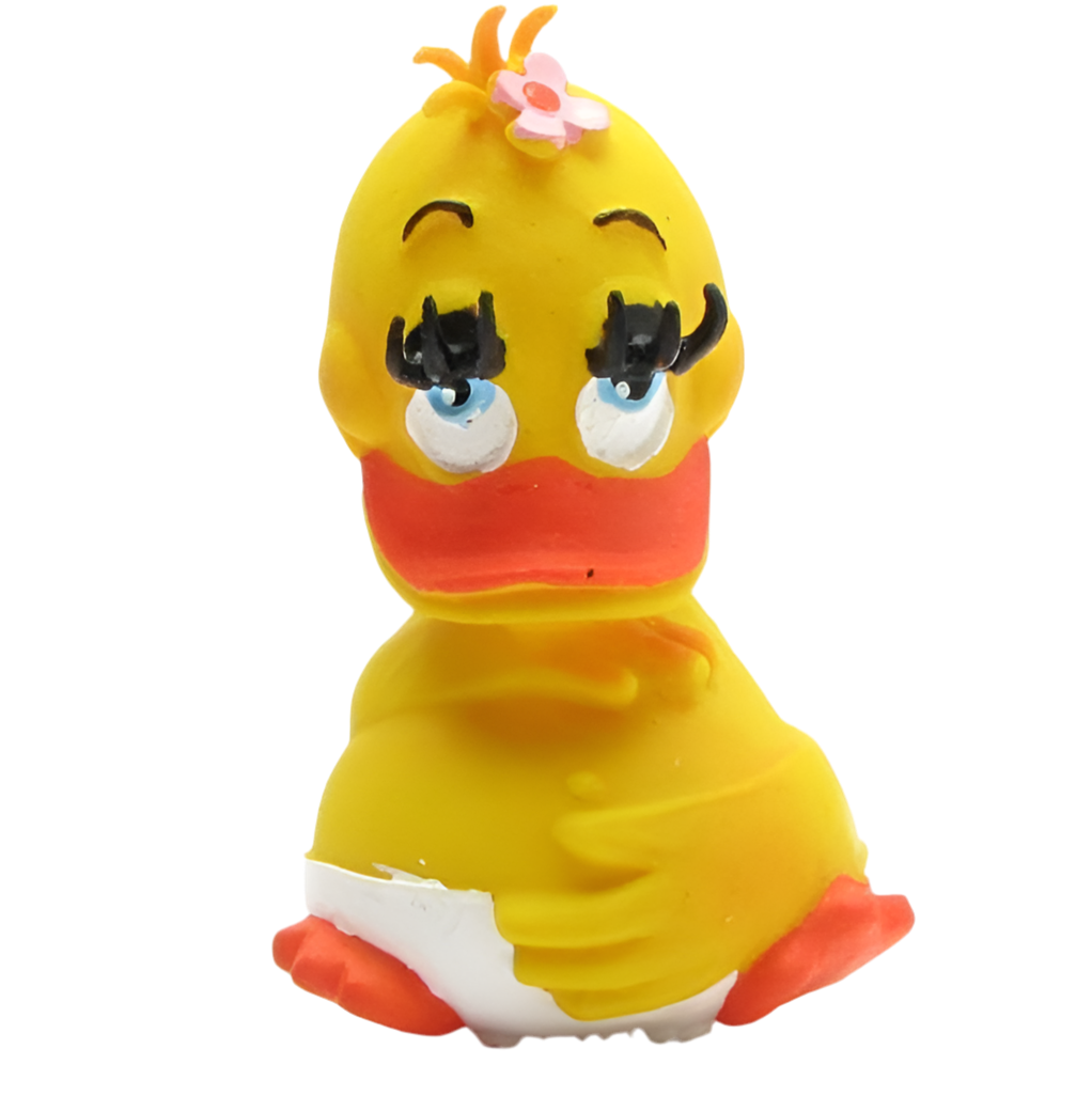 Pregnant Duck