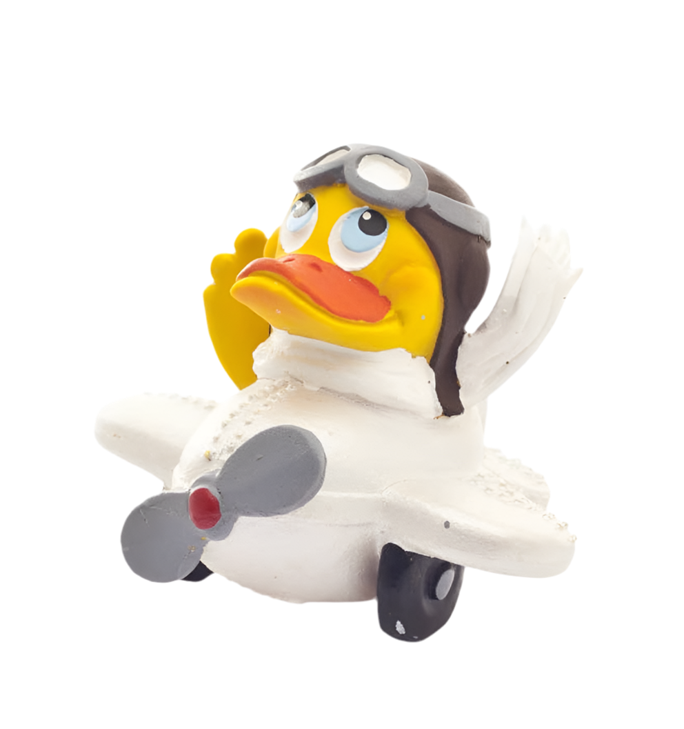 Duck Flygplan Pilot