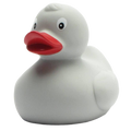 canard classique gris