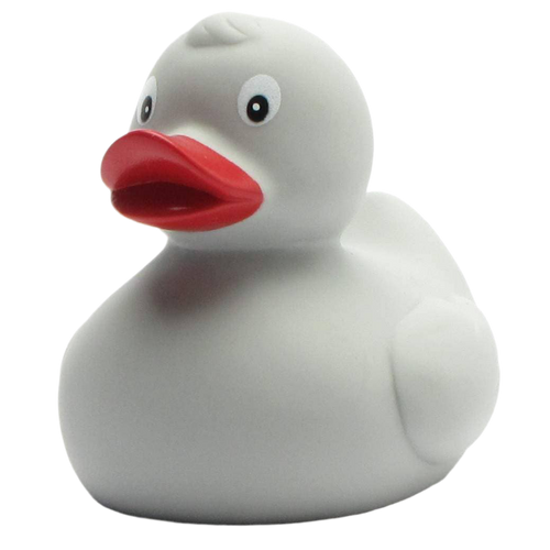 canard classique gris