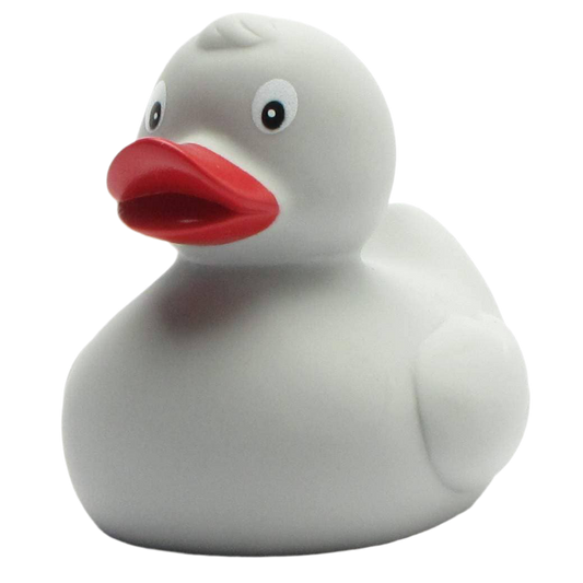 canard classique gris