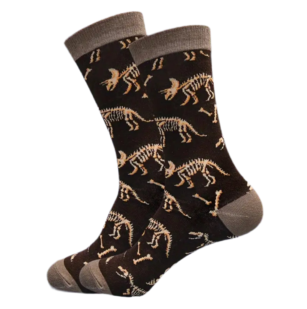 chaussettes fossiles de dinosaures mrcol SOX DINO 001 16878668