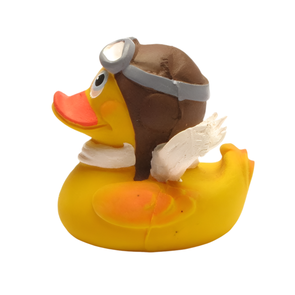 Aviator Duck