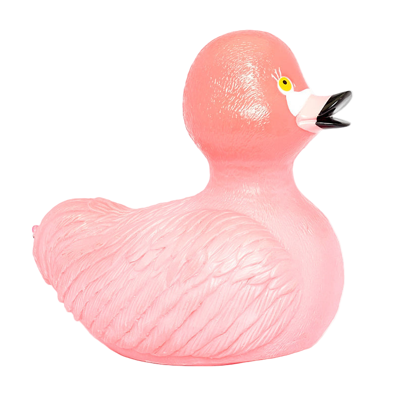 Flamingo-eend