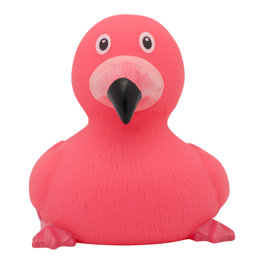 canard-flamant-rose-1