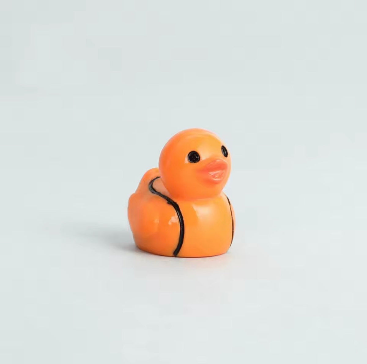 Minis Canards Sportifs
