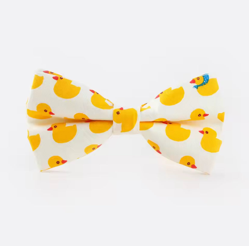 noeud papillon canard 81031500