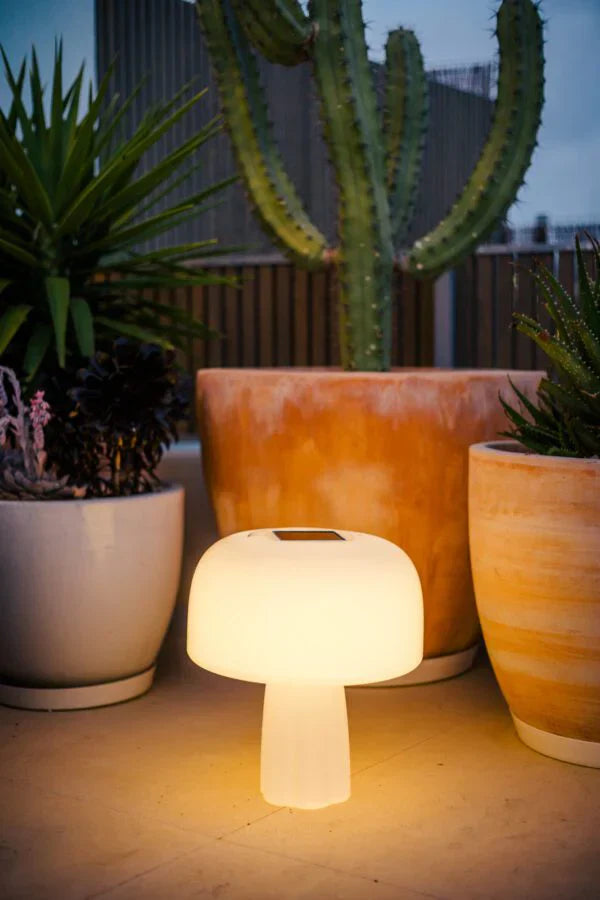 lampe champignon the boleti lamp 