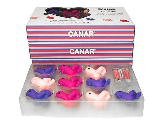 guirlande lumineuse canard girly canar Dhink415 05 5404006037940