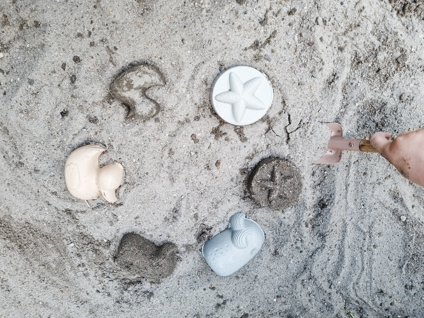 Set di stampi per sabbia per anatra