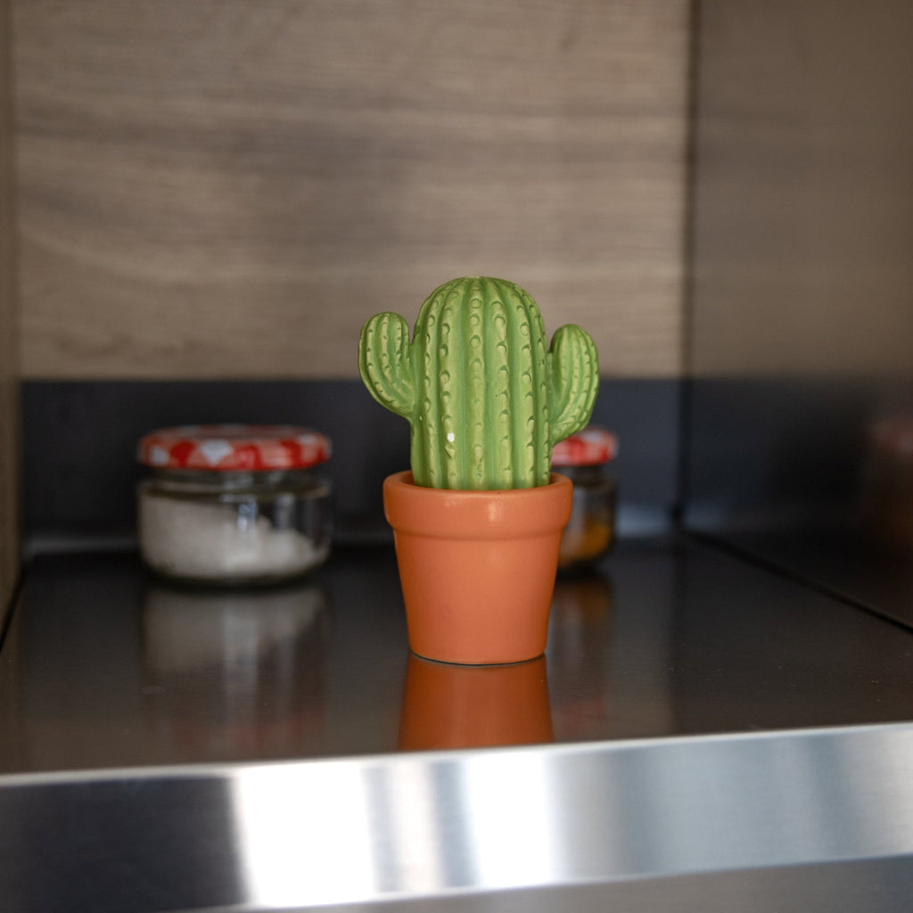 Sel et Poivre Cactus – Fisura – vue 5