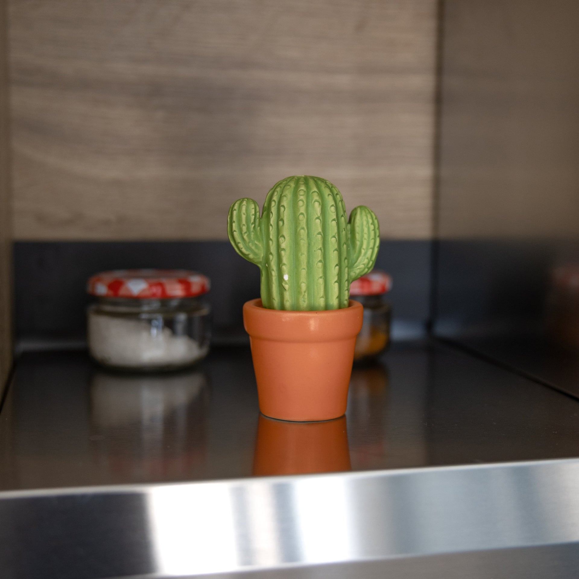 Sel et Poivre Cactus – Fisura – vue 5