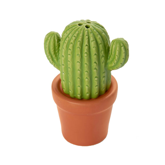 Sel et Poivre Cactus – Fisura – vue 2