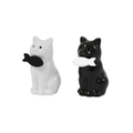 Sel et Poivre Chats – Fisura