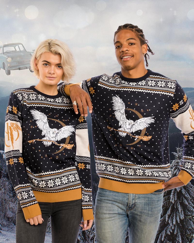 Pull de Noël Harry Potter - Hedwige