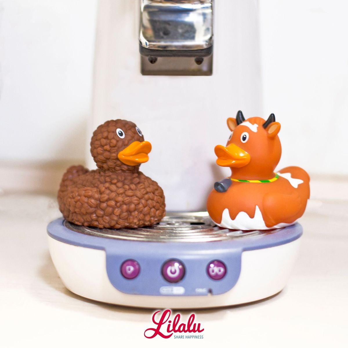 Ruskea lehmän ankka