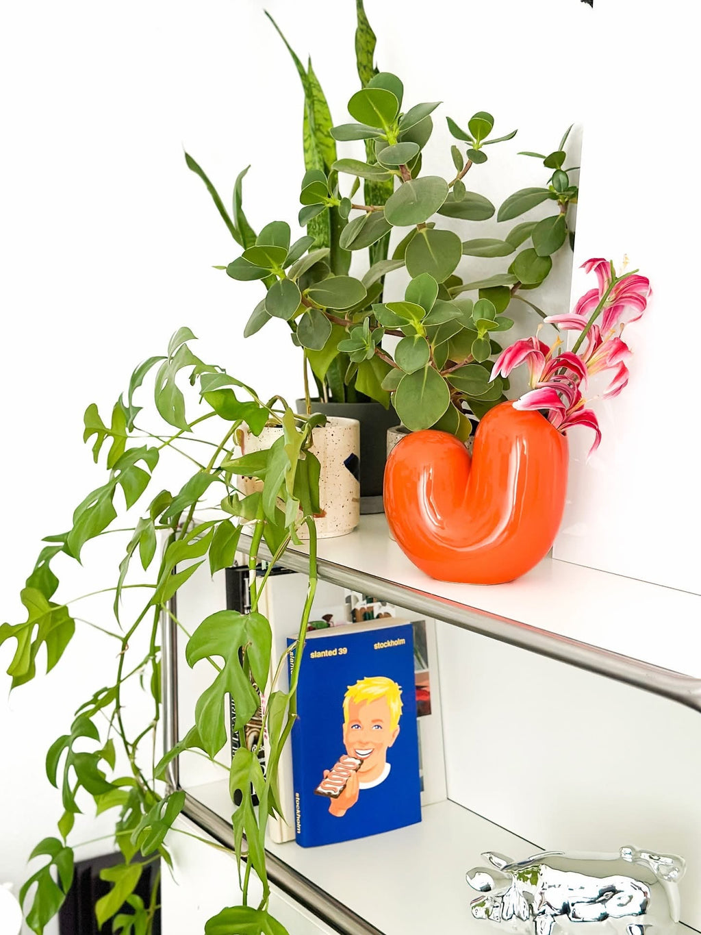 Vase Sulcus