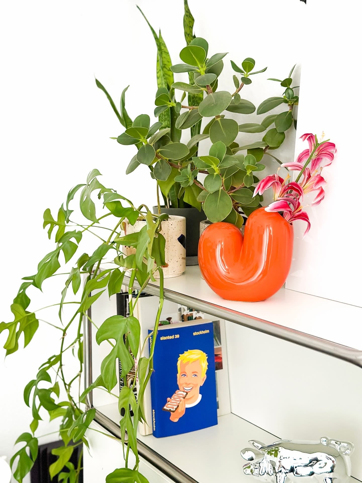 Vase Sulcus