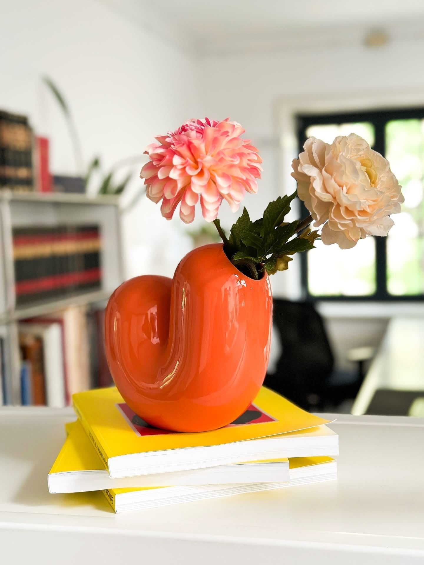 Vase Sulcus