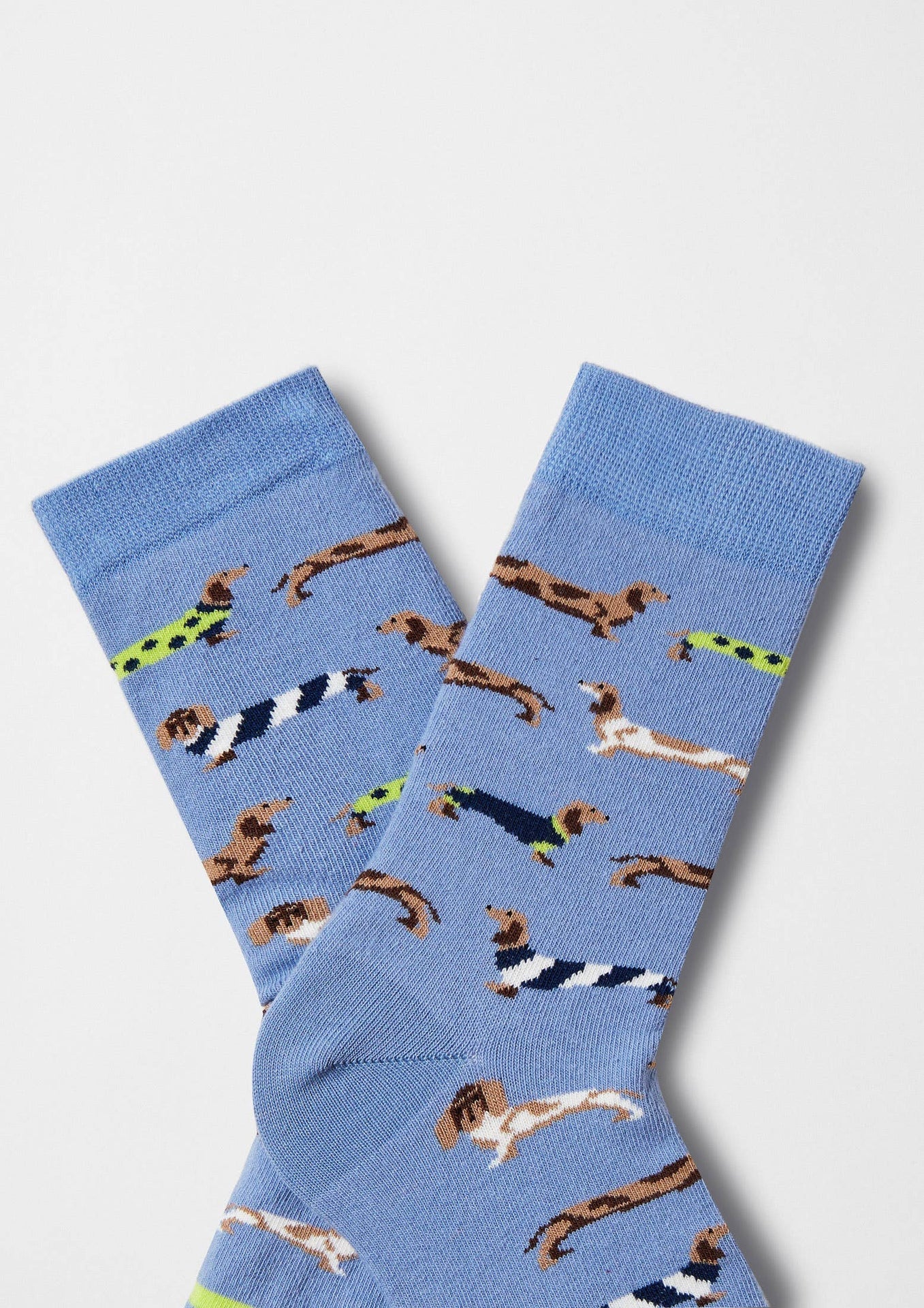 Chaussettes BePets - Teckels