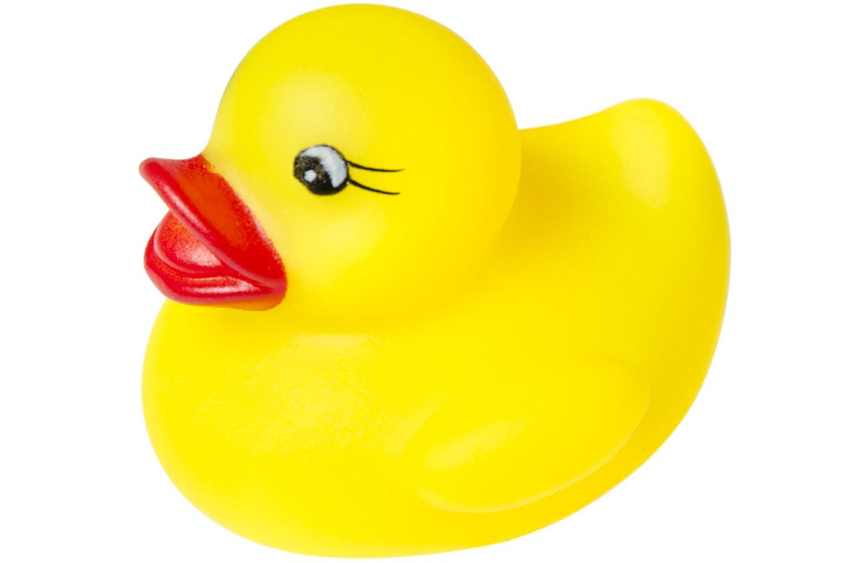 Canard de Bain Jaune – vue produit 4