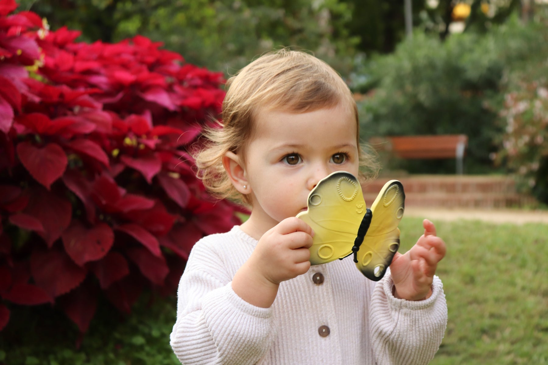 Produit Katia Le Papillon Enfant