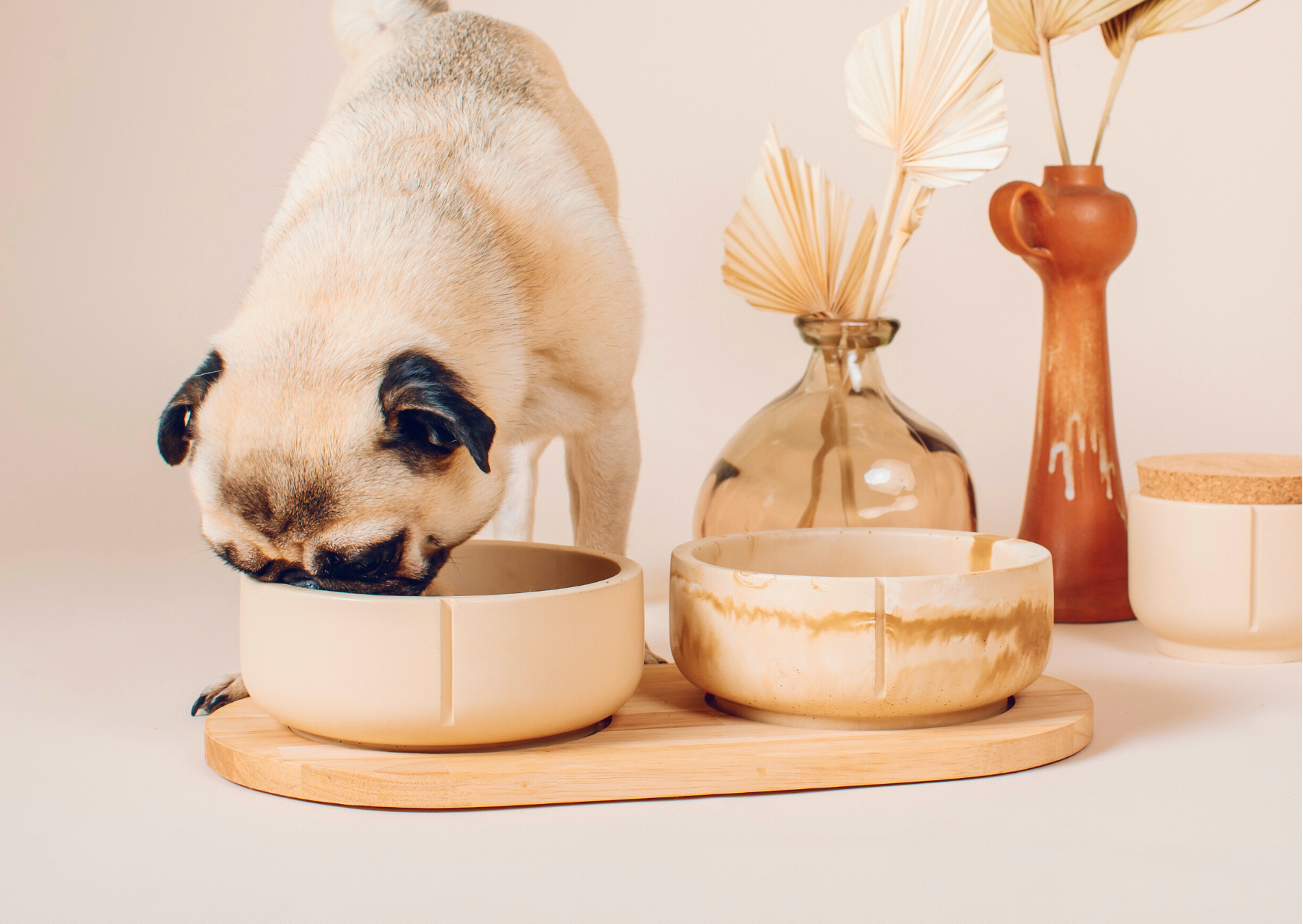 Gamelle pour animal - M