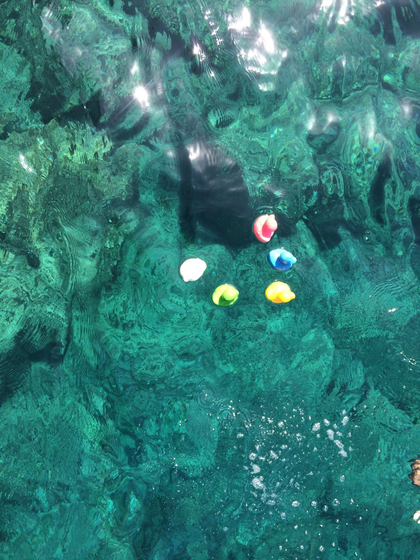 Produit Elvis Le Canard Blanc Enfant