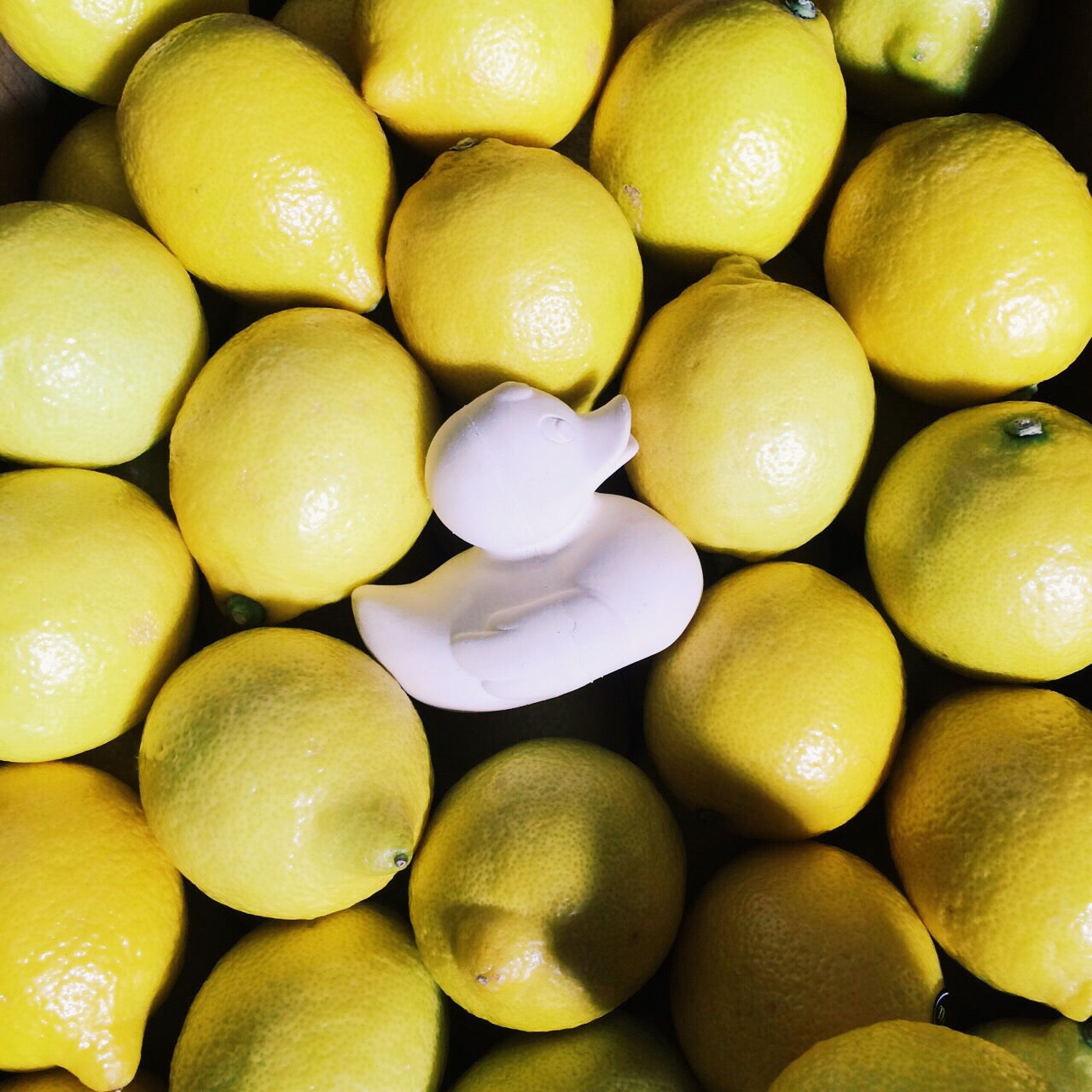 Produit Elvis Le Canard Blanc Maison