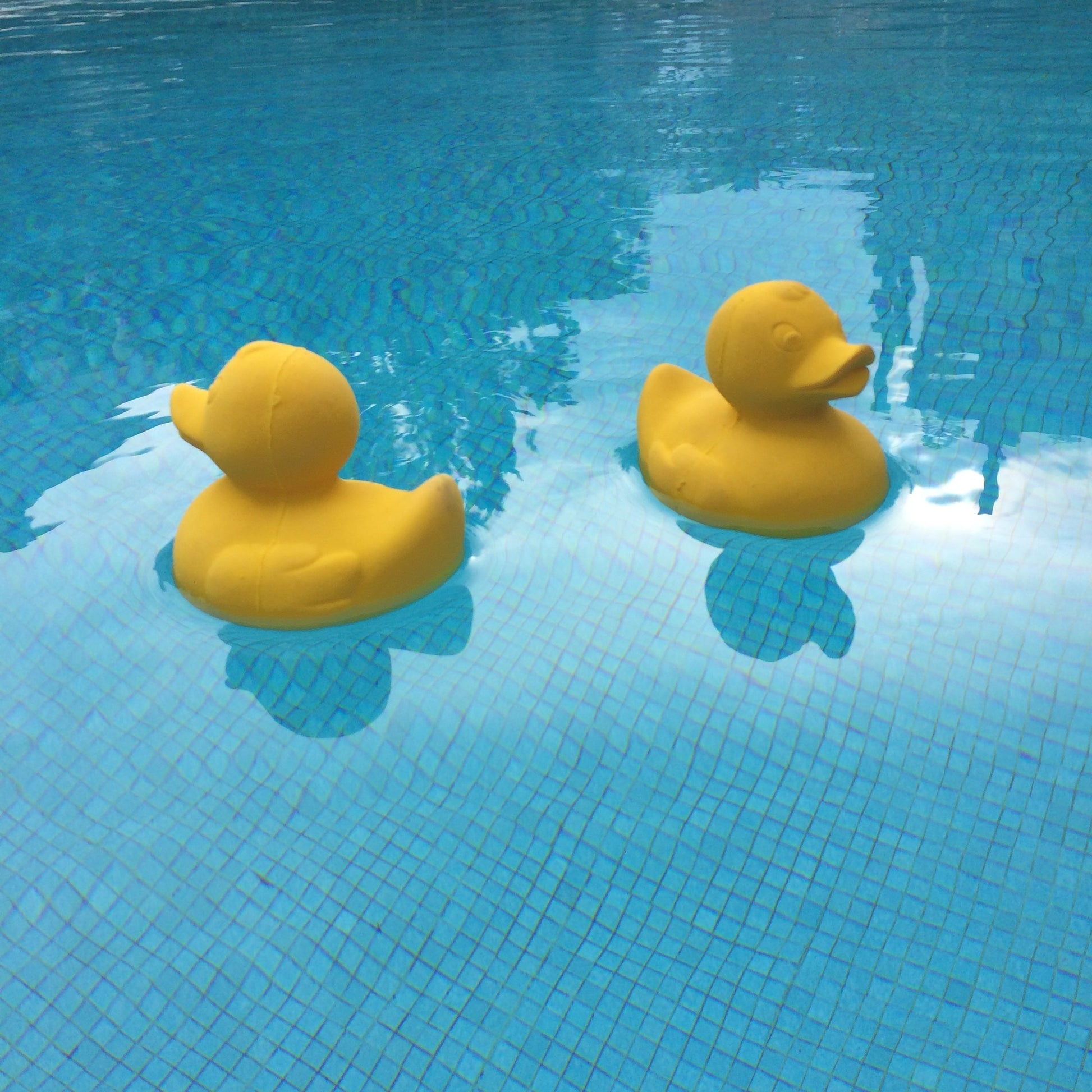 Elvis le Canard Jaune Oli & Carol CoinCaillerie