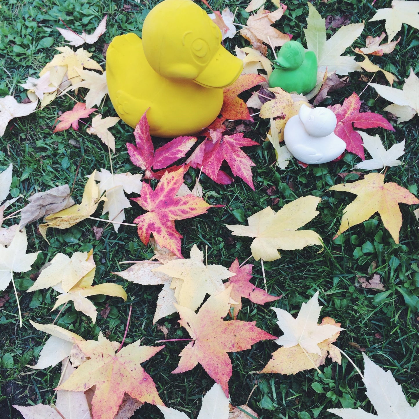 Elvis le Canard Jaune Oli & Carol CoinCaillerie