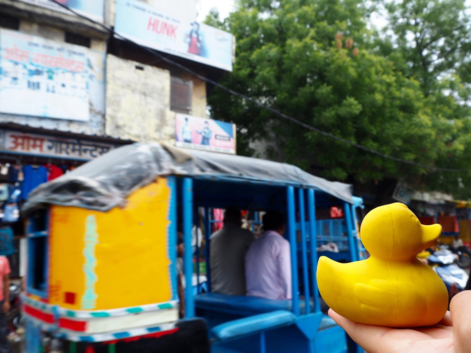 Elvis le Canard Jaune Oli & Carol CoinCaillerie