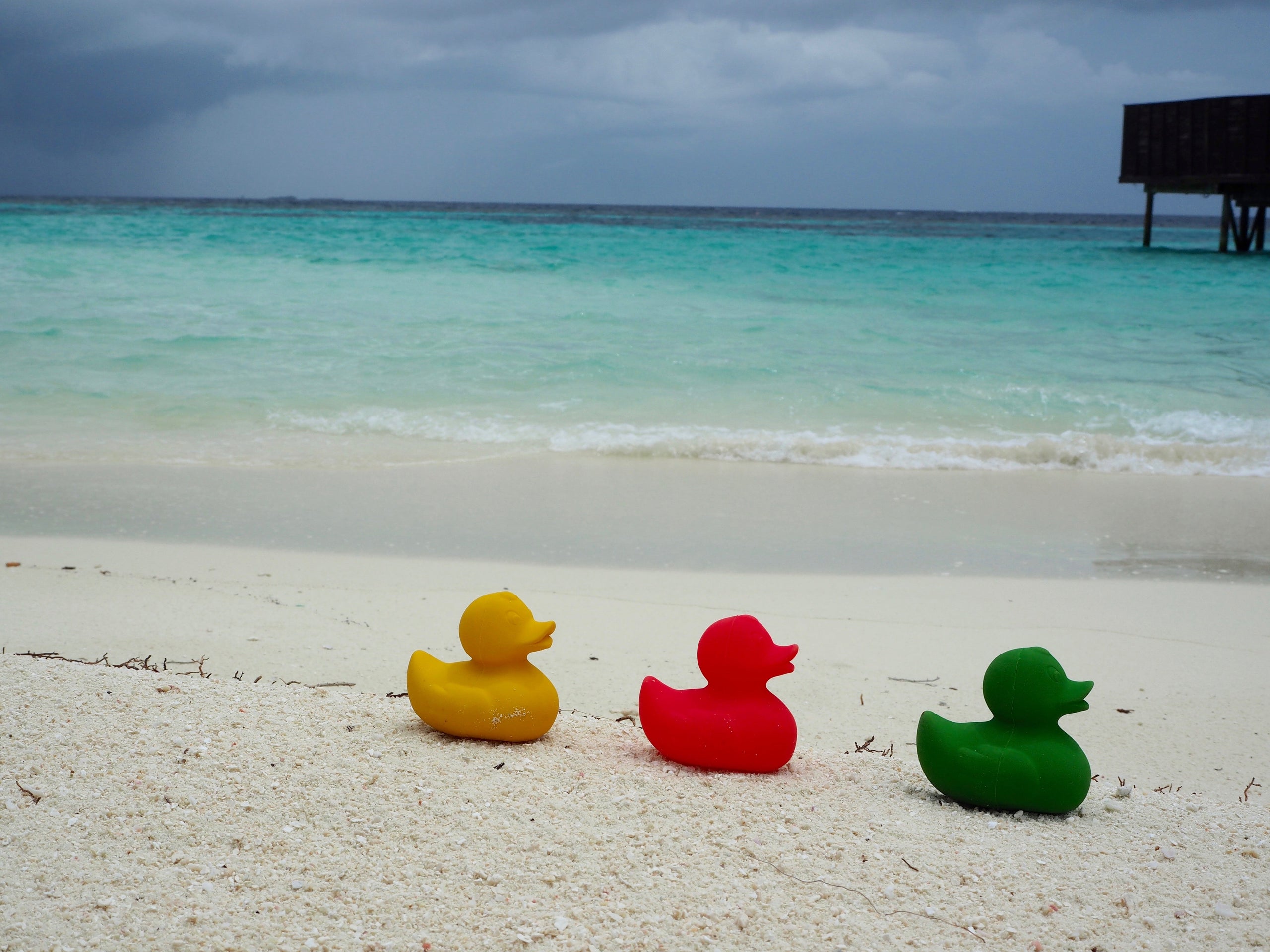 Elvis le Canard Jaune – Jouet de bain et dentition bébé – vue produit 12