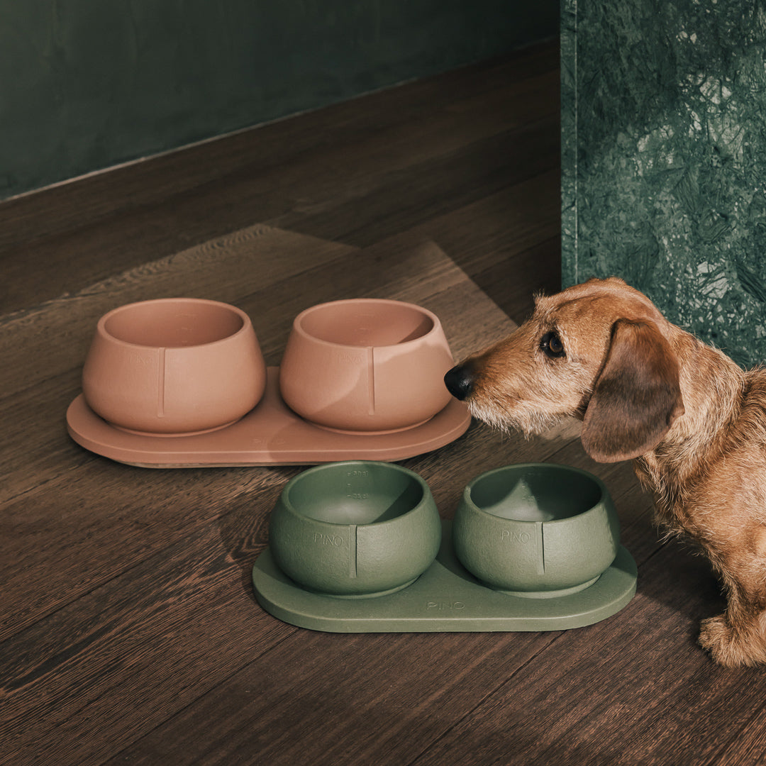 Plateau pour chiens – vue produit 5