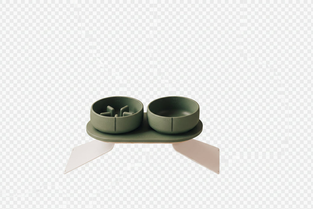 Coffret posture optimale pour chiens – gamelles vertes sur support